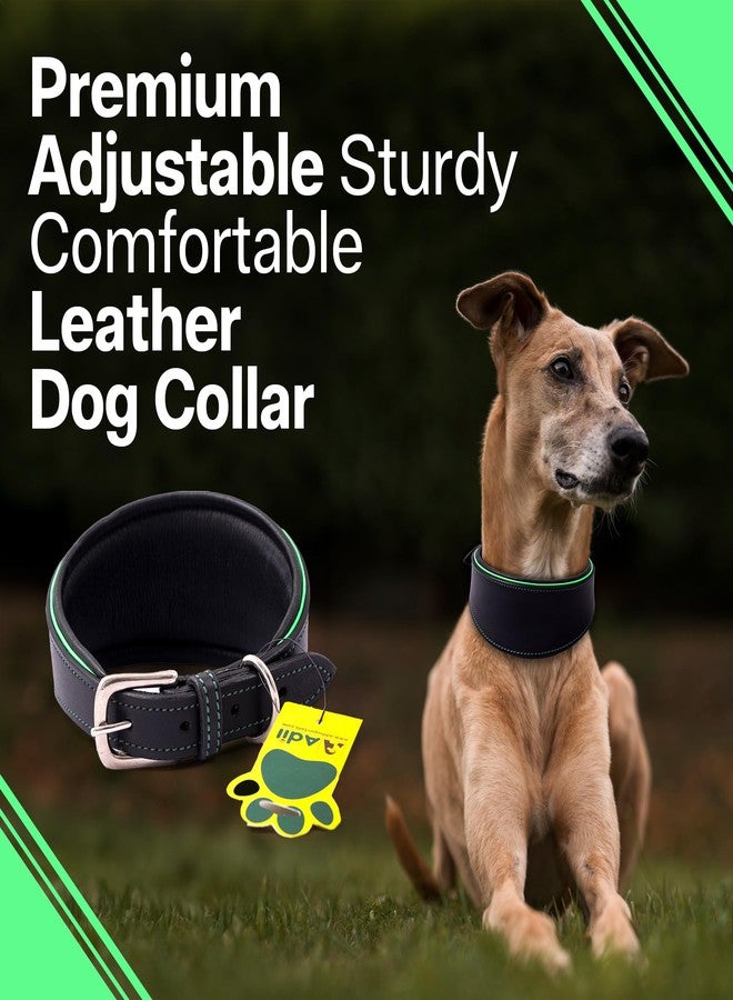 ADIL'S Adil’s Leather Dog Collar for Greyhound, Saluki, Whippet Dogs with Green Piping and Soft Padding, Width: 1 inch, Size M, Black - Image 5